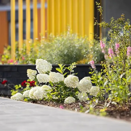 Appartement Kotzebue - Kalamaja 2-room With Large Terrace - Urban Drama For Four *