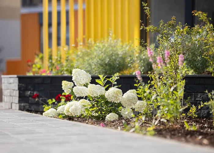 Apartament Kotzebue - Kalamaja 2-room With Large Terrace - Urban Drama For Four *