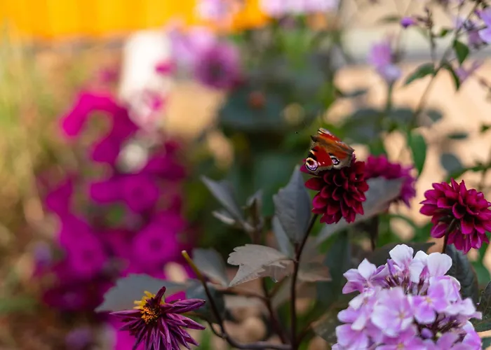 Apartamento Kotzebue - Kalamaja 2-room With Large Terrace - Urban Drama For Four *